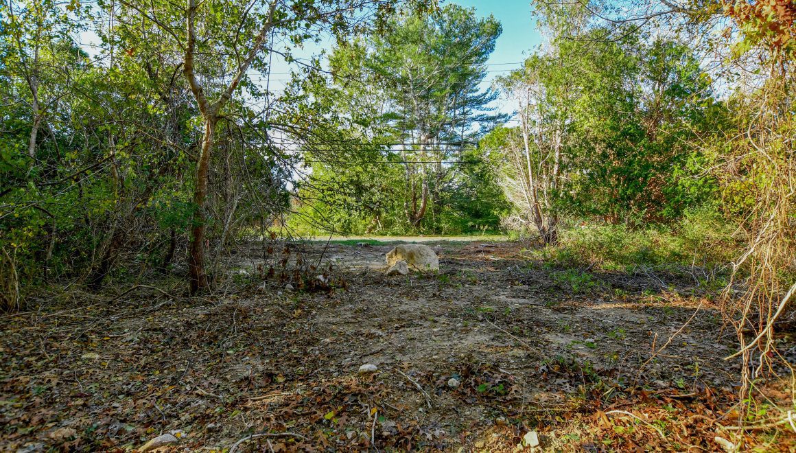Buildable Lot in East Marion